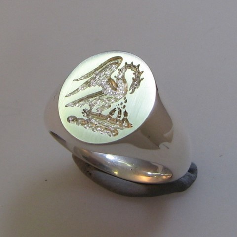 Eagle or vulture bird feeding chicks crest ring